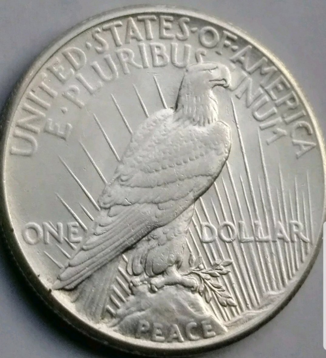 Carbon-Black-Marks-Effect-On-Grading-Peace-Dollar